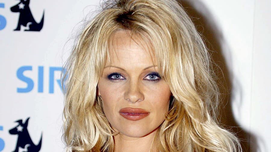 Pamela Anderson v minulosti.