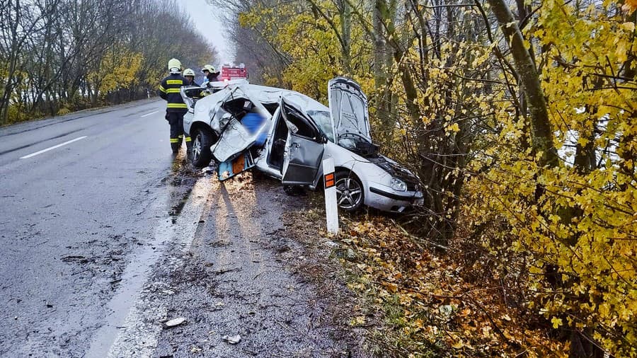 Auto dostalo na ceste