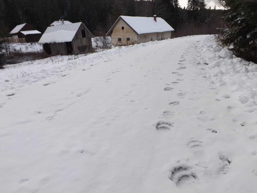 Ján počas prechádzky na