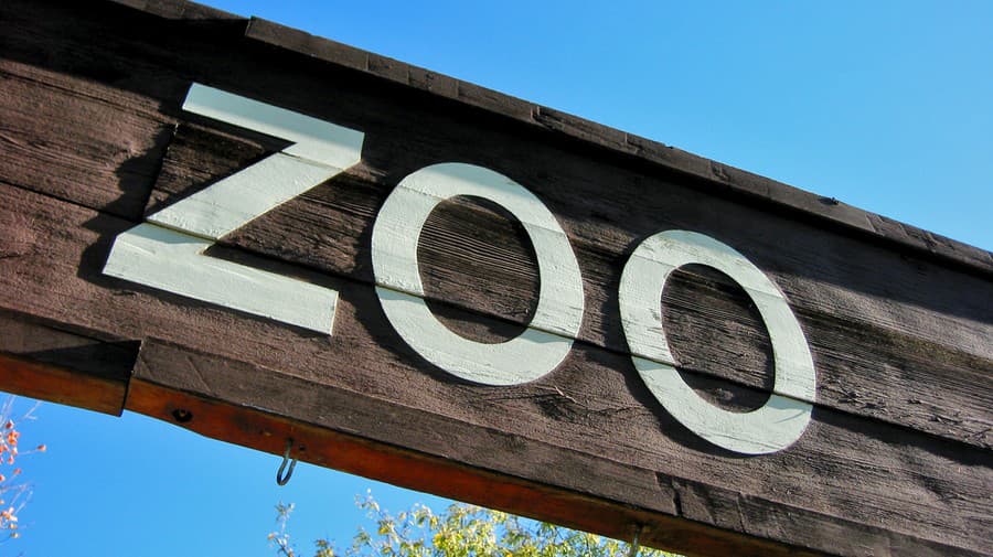 V našich zoo žijú