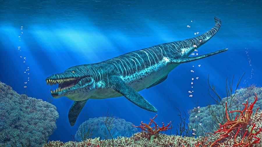 Pliosaurus