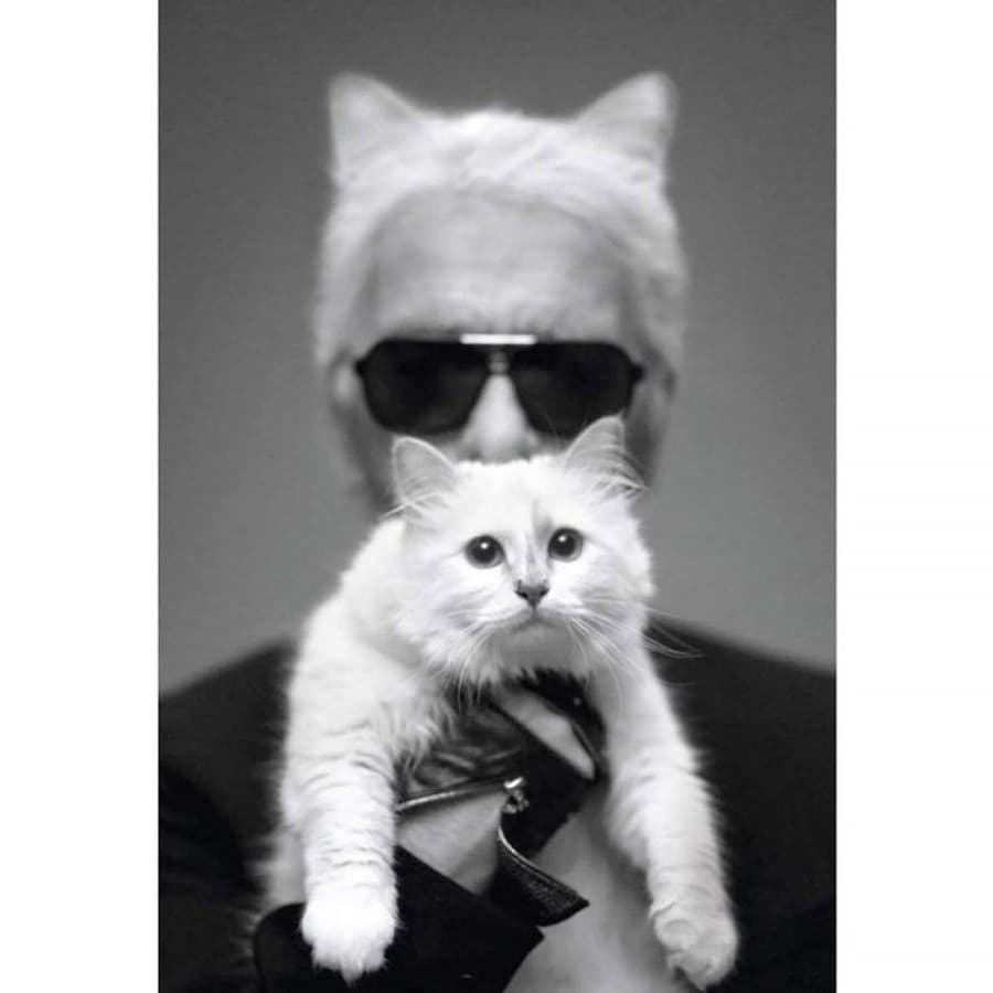 Návrhár Karl Lagerfeld (†