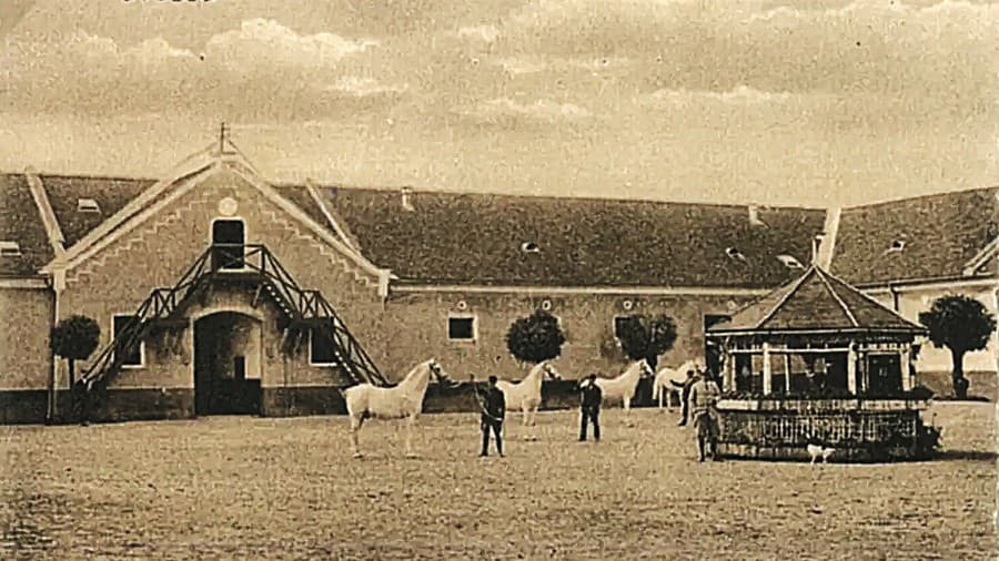1928. V žrebčíne sa koňom venovali aj v medzivojnovom období.