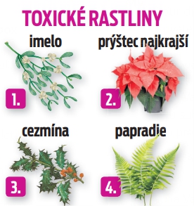 Toxické rastliny