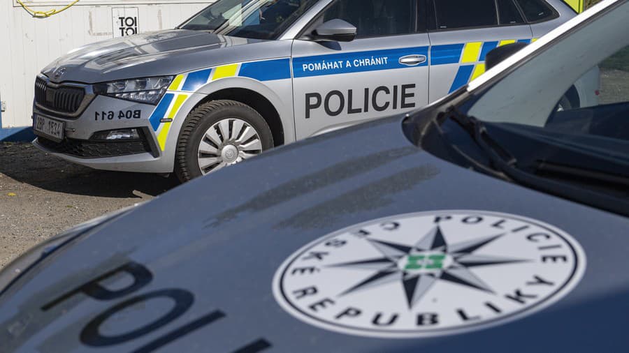 Na snímke českí policajti