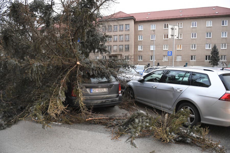  Silný vietor láme