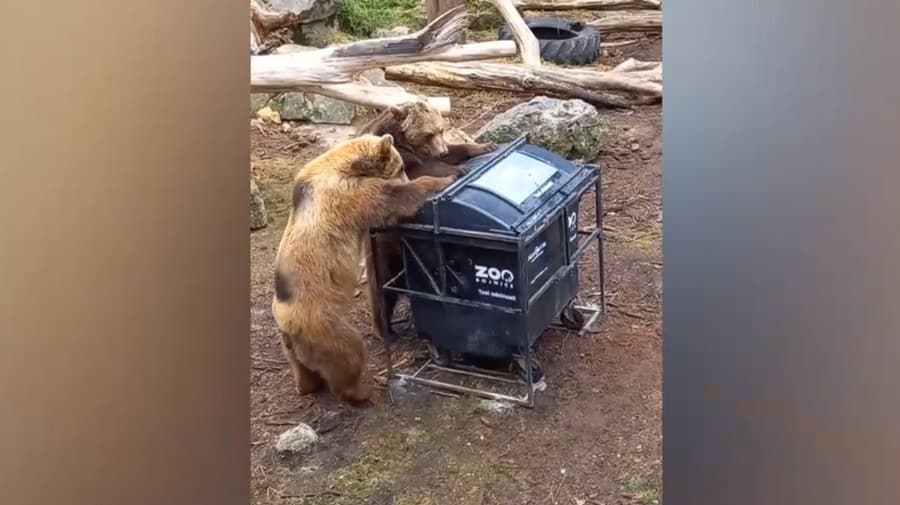 Zoo Bojnice ukázala najobľúbenejšie