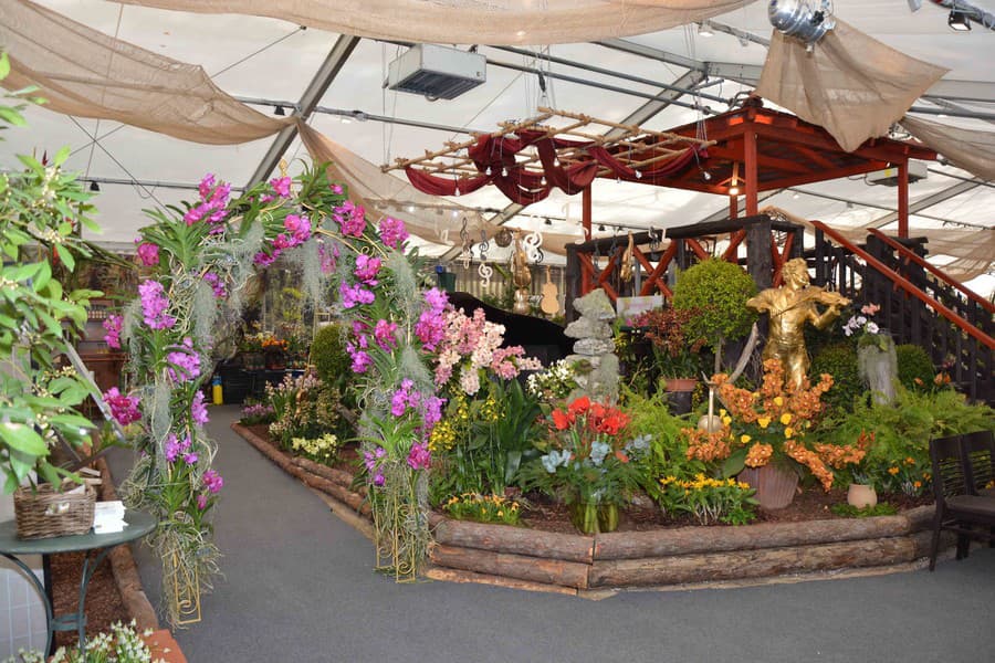 Výstava orchideí vo Viedni.