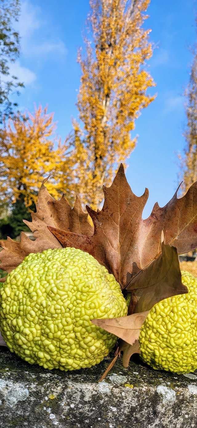 Viacero Slovákov sa podelilo