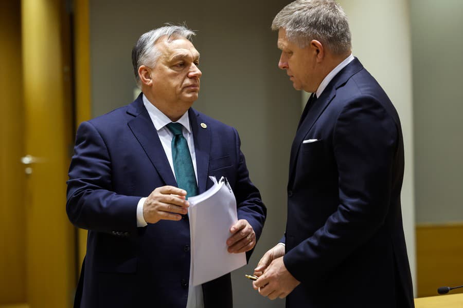 Slovenský premiér Robert Fico