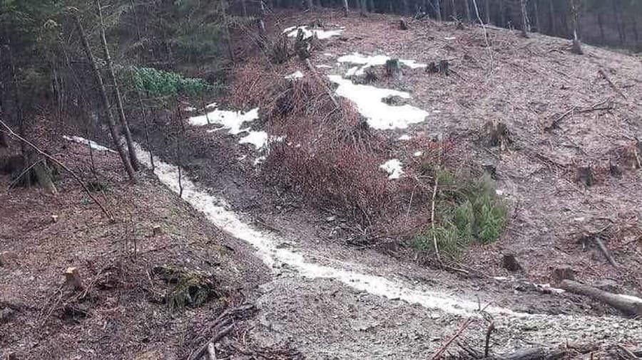 Na cestu sa zosunul