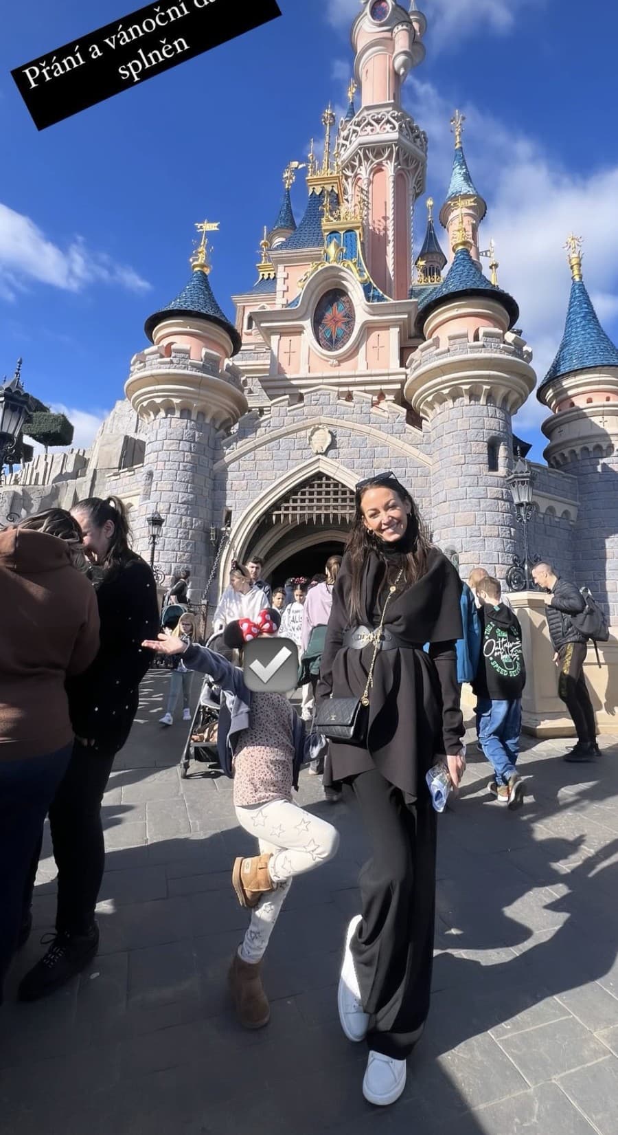 Zatiaľ čo si Hanychová užívala výlet v Paríži, v jej dome zasahovali muži zákona.