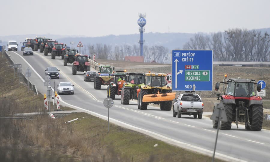 Na snímke kolóna protestujúcich