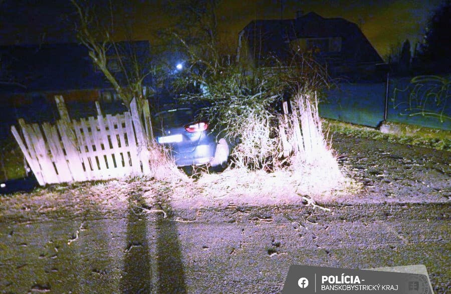 Mladík s autom prerazil plot a skončil v strome.