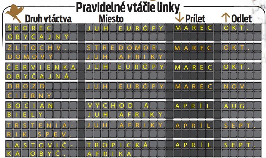 Pravidelné vtáčie linky