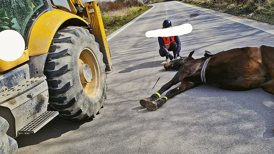 Úžasná kobylka Kelly neprežila