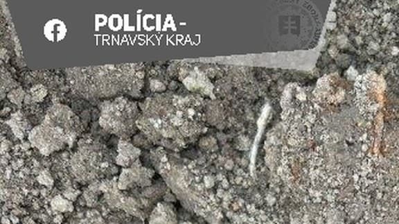 Policajti boli v pohotovosti