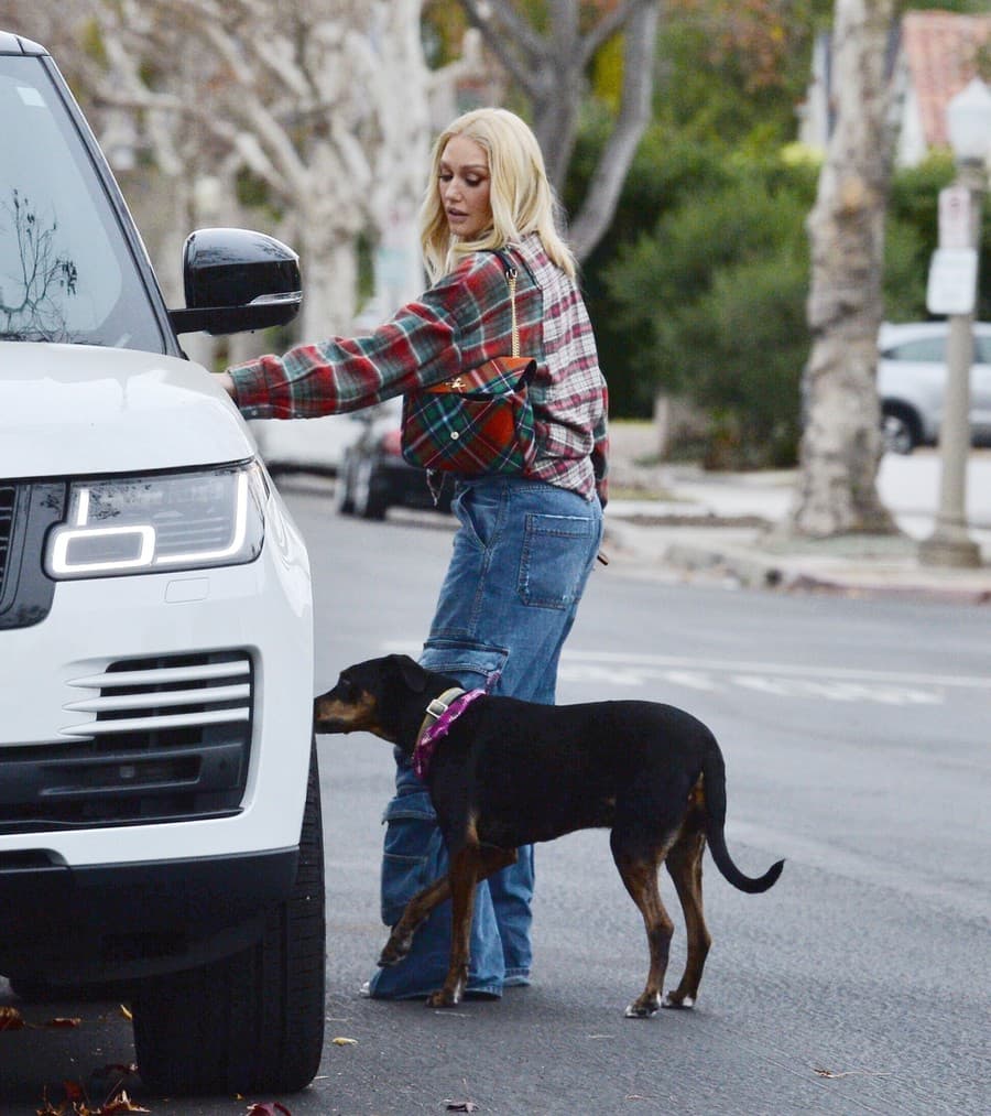 Gwen Stefani