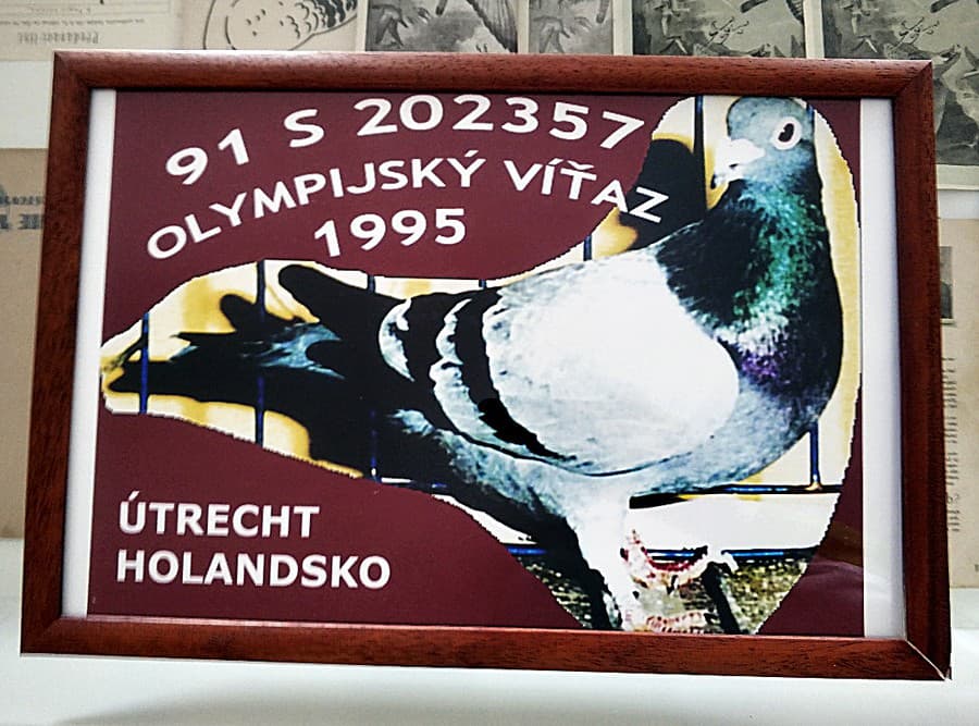 Holub Lipták získal olympijské