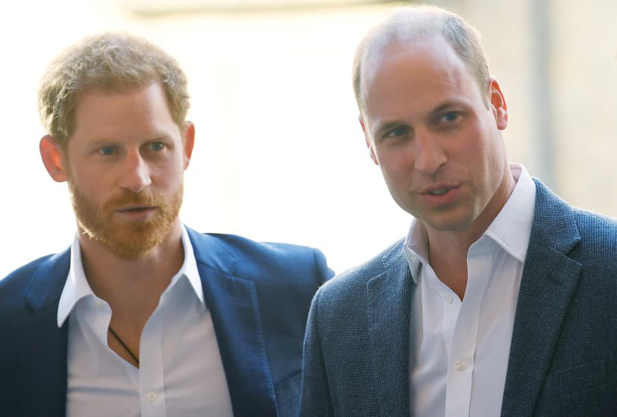 Princ Harry a William