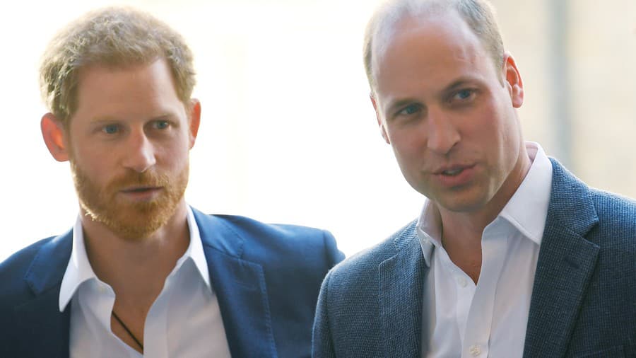 Princ Harry a William