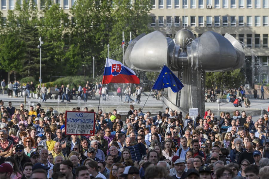 Účastníci protivládneho protestu hnutia