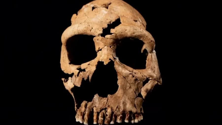 Vedci museli lebku neandertálkyne