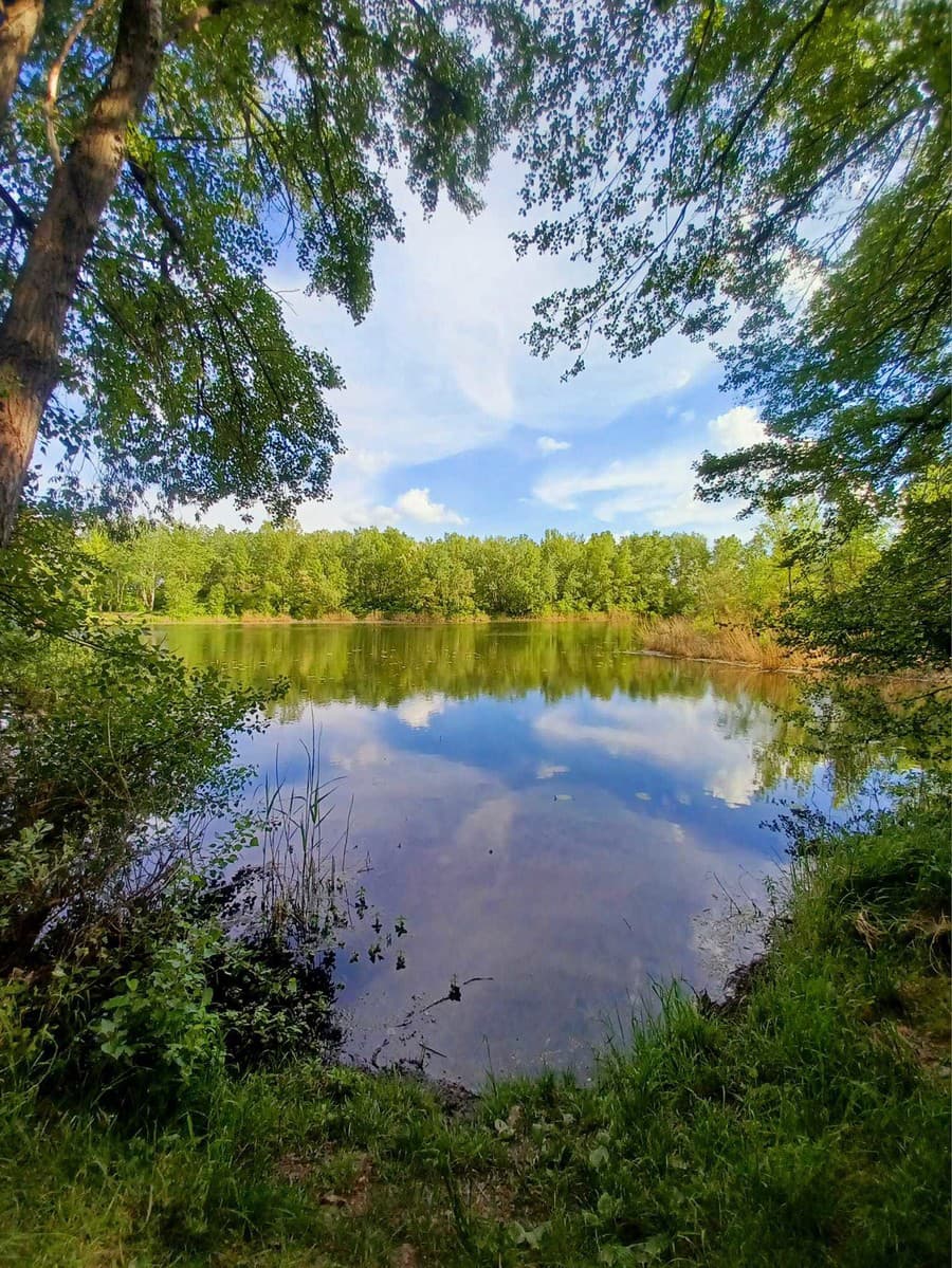 Mirka zdokumentovala svoju prechádzku