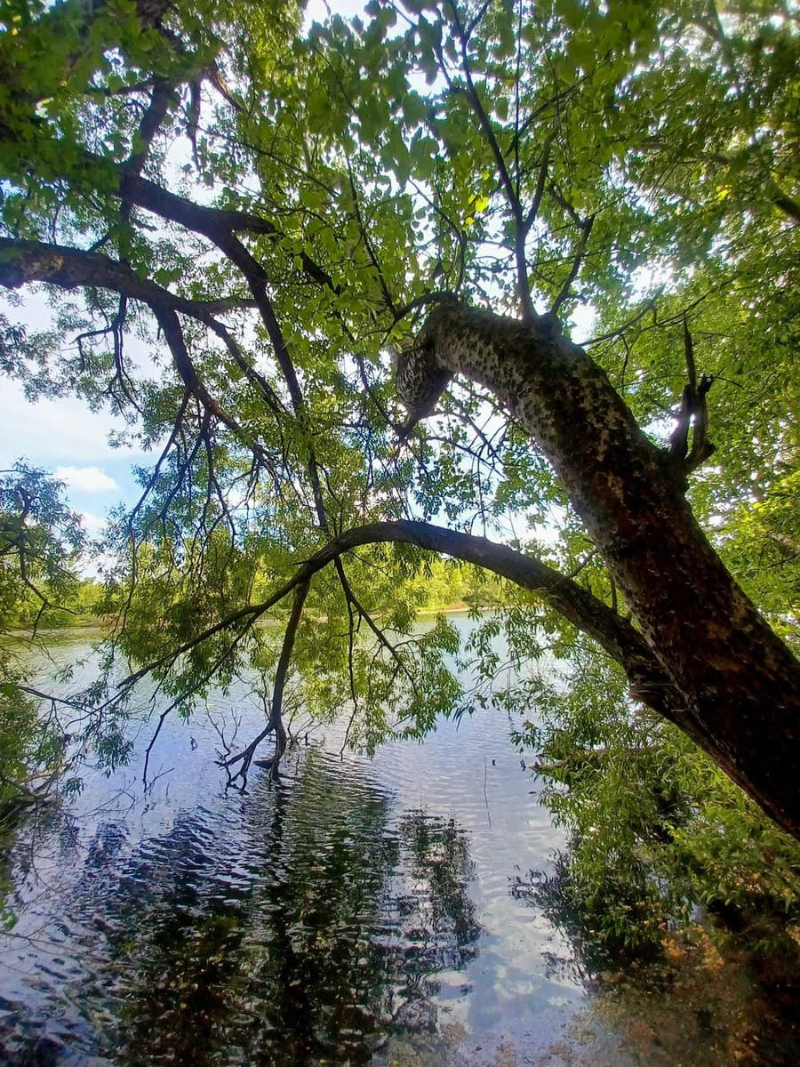 Mirka zdokumentovala svoju prechádzku