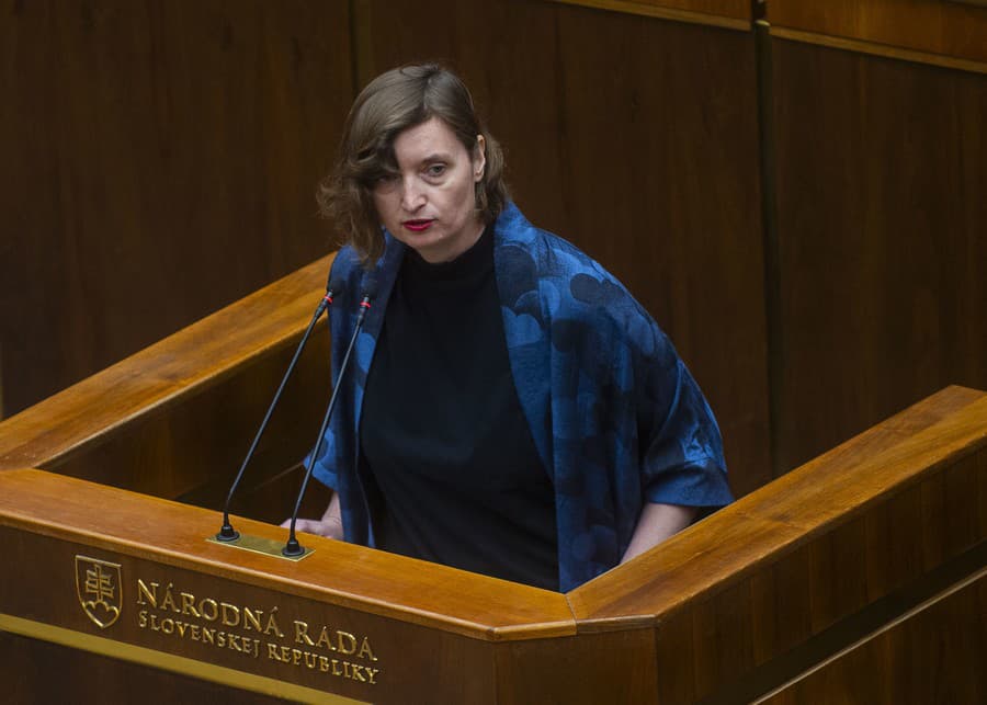 Na snímke poslankyňa NRSR Lucia Plaváková (Progresívne Slovensko).