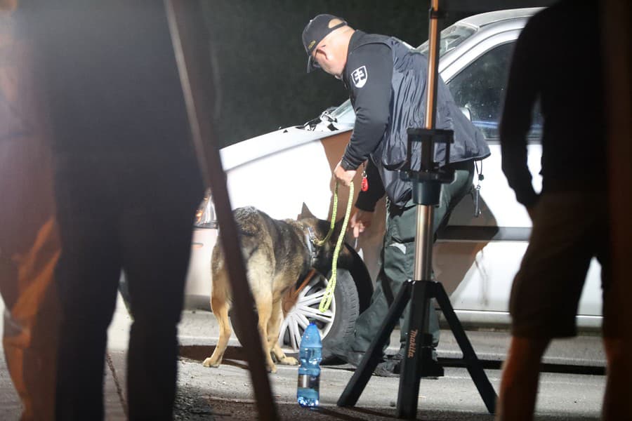 Policajný pes najskôr skontroloval celé auto, či v ňom nie je umiestnená nálož.