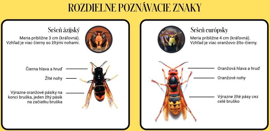 Rozdielne poznávacie znaky.