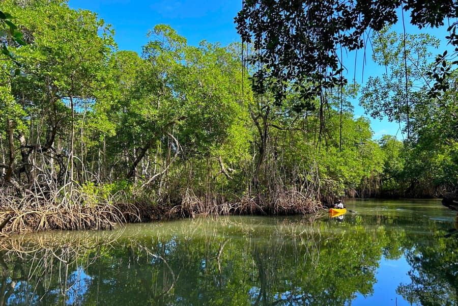 Národný park Los Haitises je tropický prales s mimoriadnou biodiverzitou.