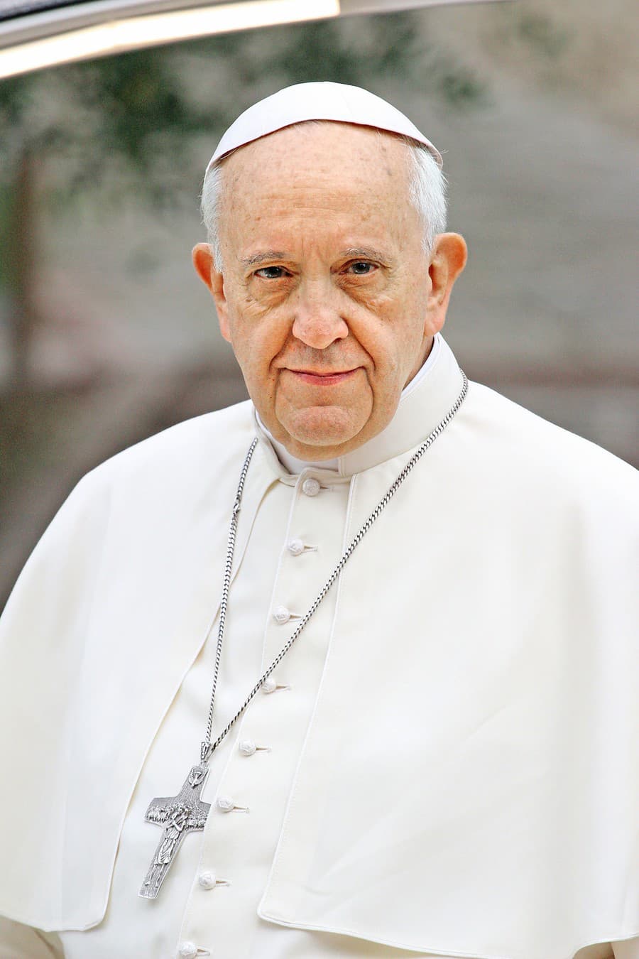 pápež František (87)