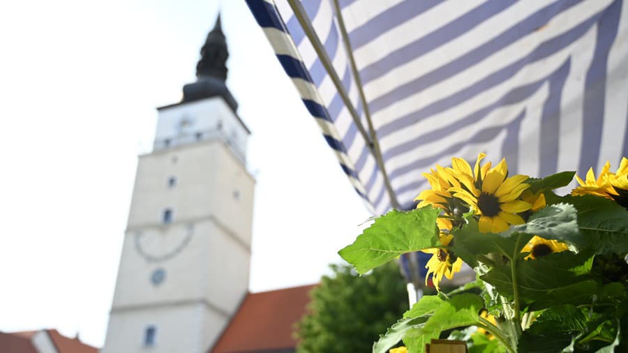 Mestská veža v Trnave.