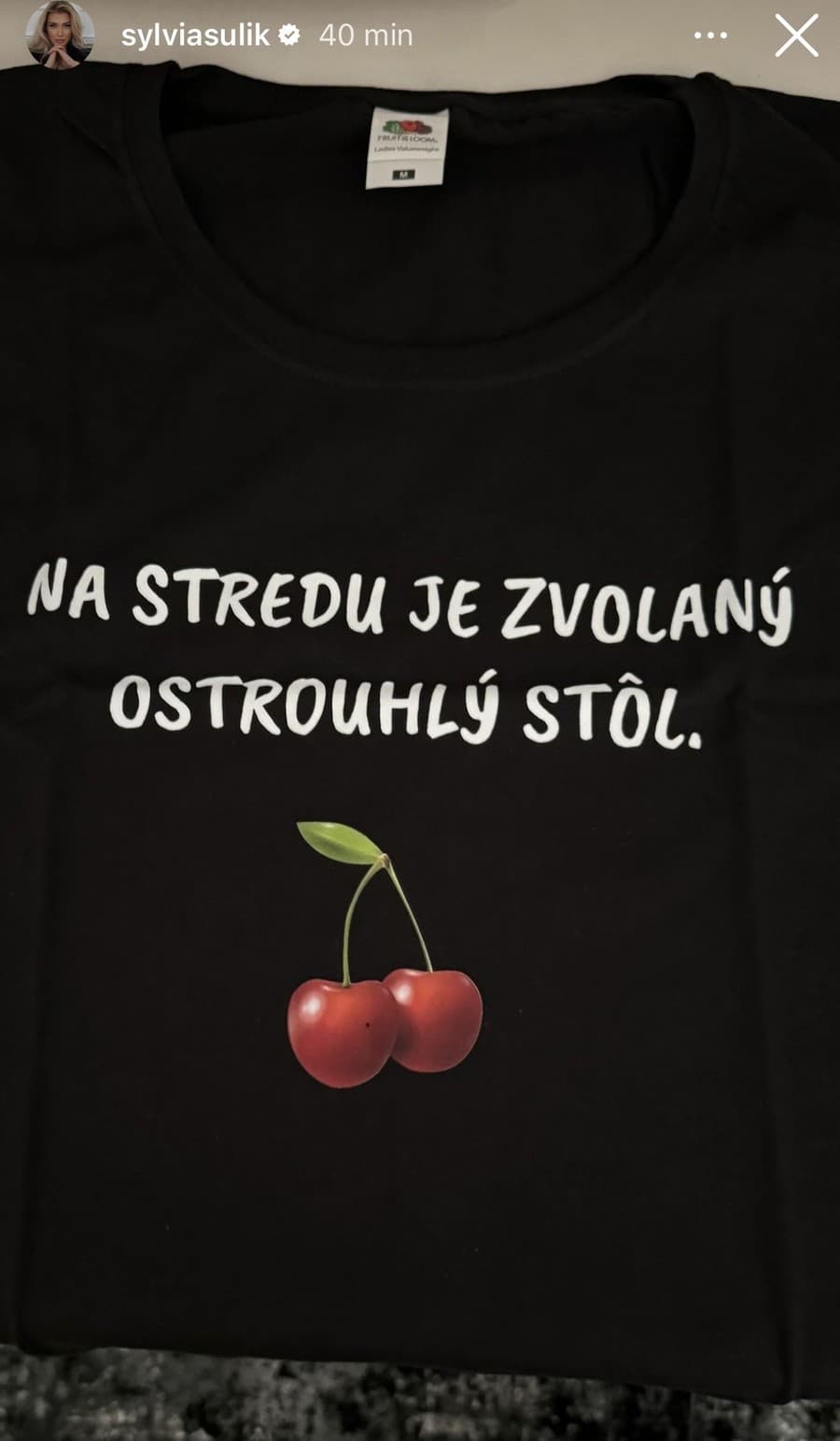 Sylvia použila Dankove frázy,