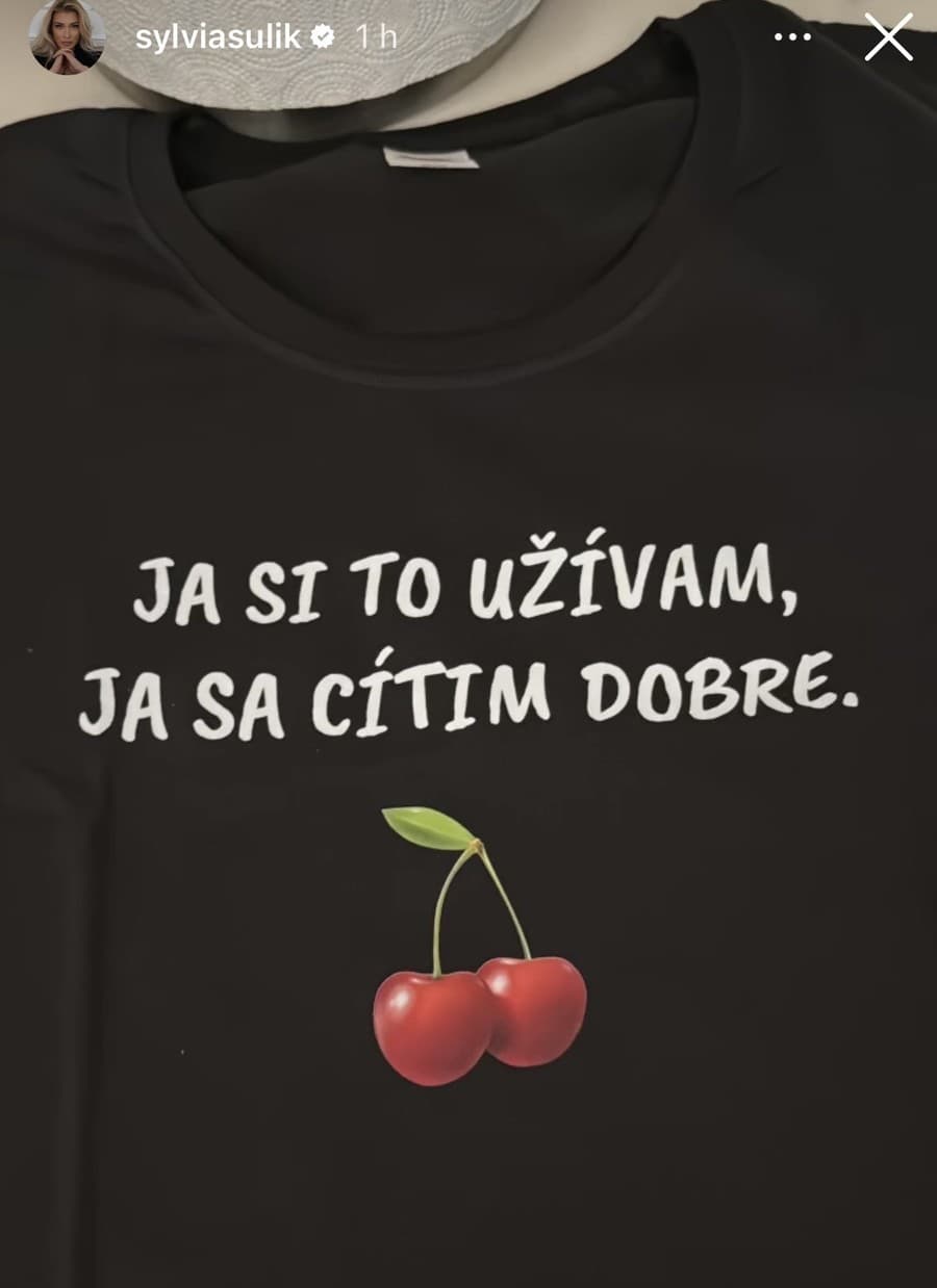 Sylvia použila Dankove frázy,