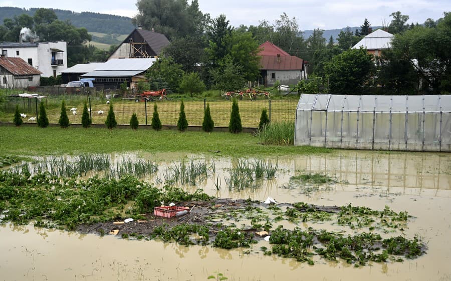 Profesionálni a dobrovoľní hasiči