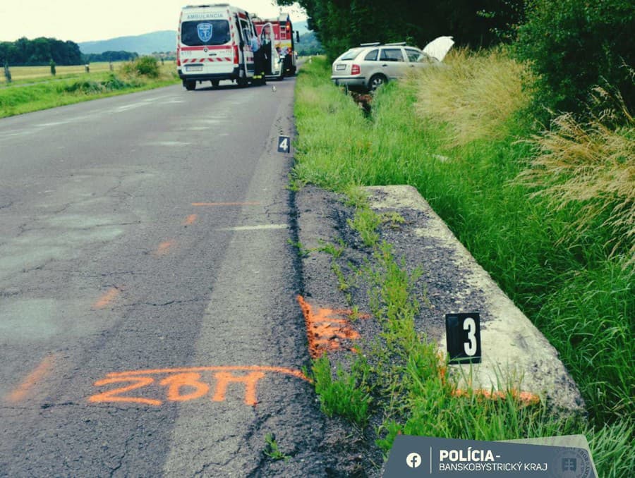 Náhle zhoršenie zdravotného stavu sa pravdepodobne podpísalo pod nehodu.