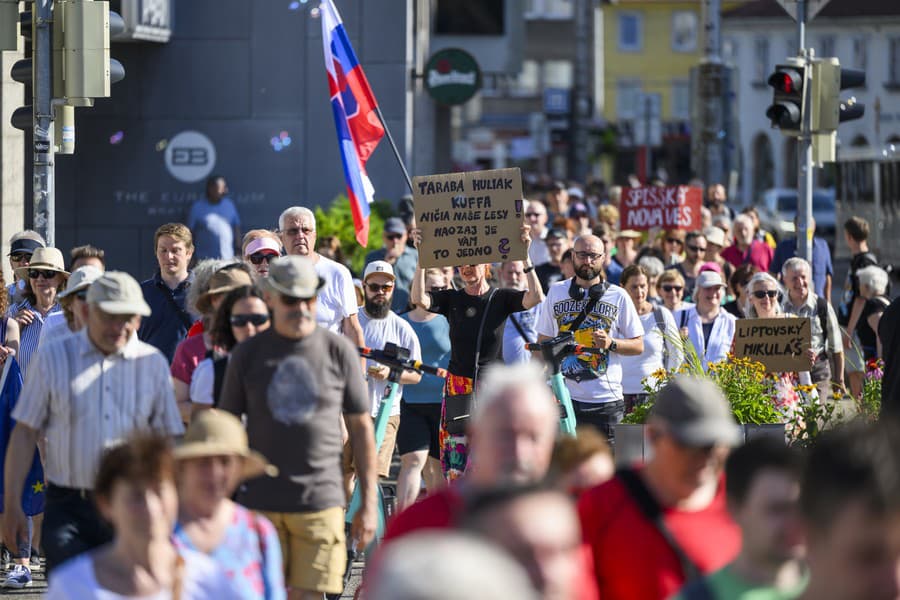 Na snímke protest a