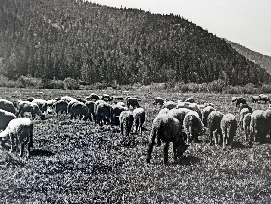 1933. Pred začatím výstavby