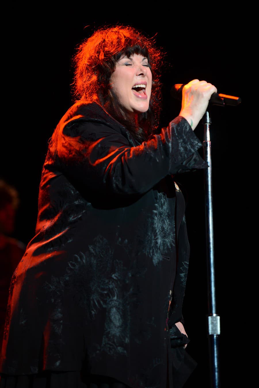 Ann Wilson, speváčka rockovej