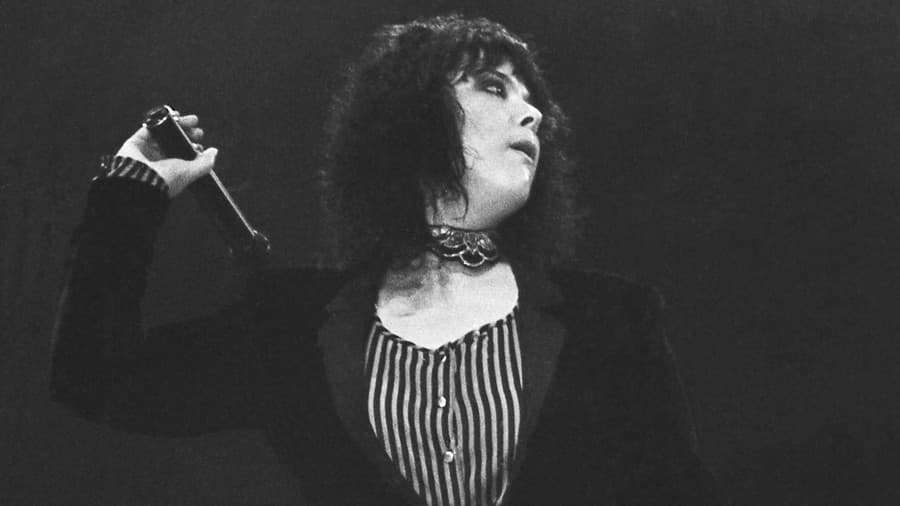 Ann Wilson, speváčka rockovej