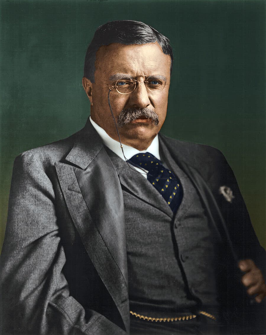 Theodore Roosevelt
