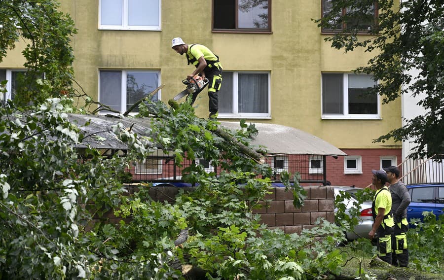 Následky veternej smršte vo