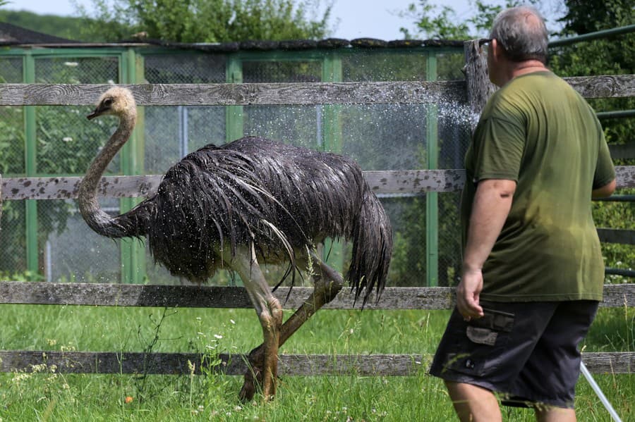 V košickej zoo počas