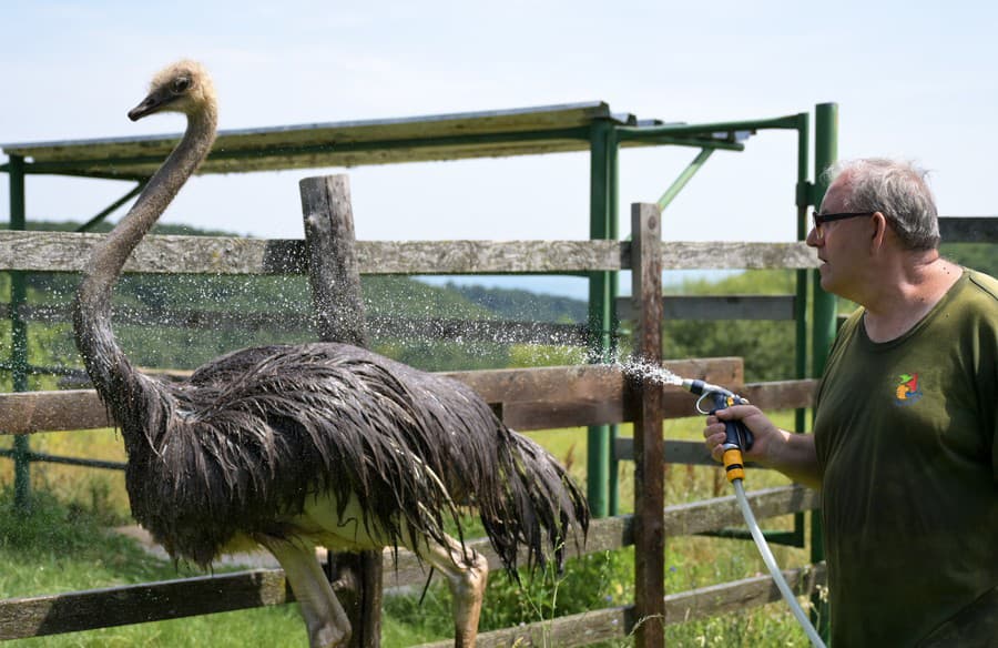 V košickej zoo počas