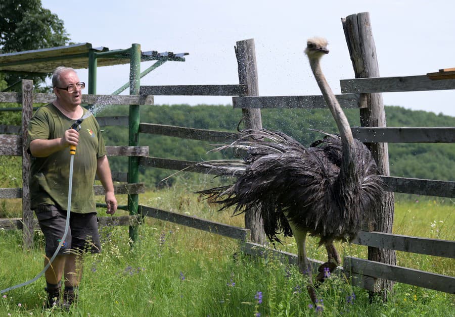 V košickej zoo počas