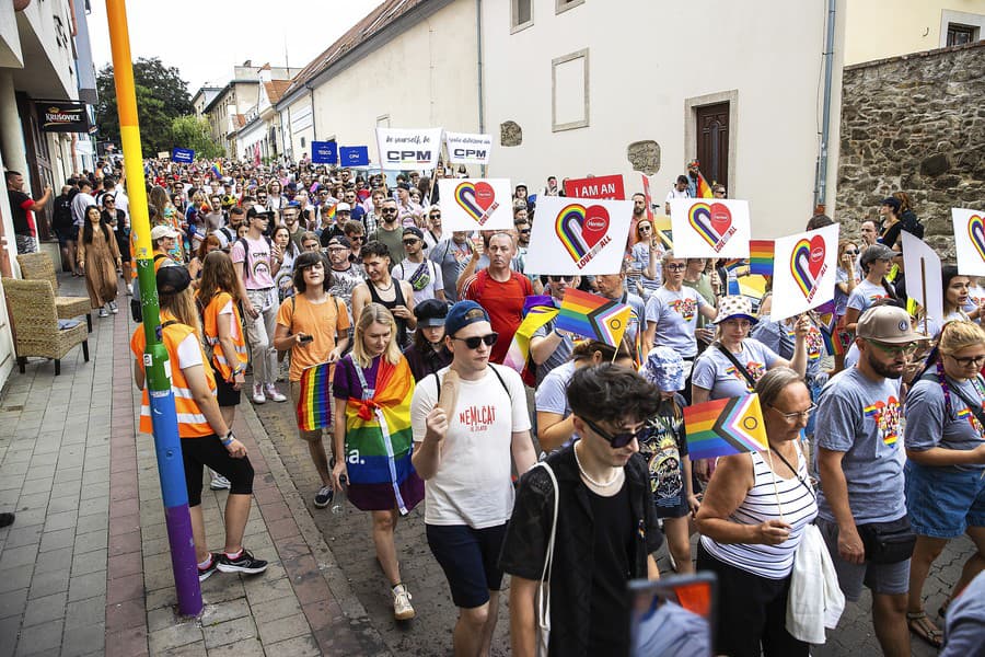 Agenda gejov a lesieb sa podľa europoslankyne zmenila.