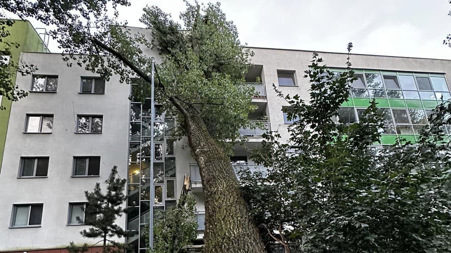 Strom poškodil fasádu a